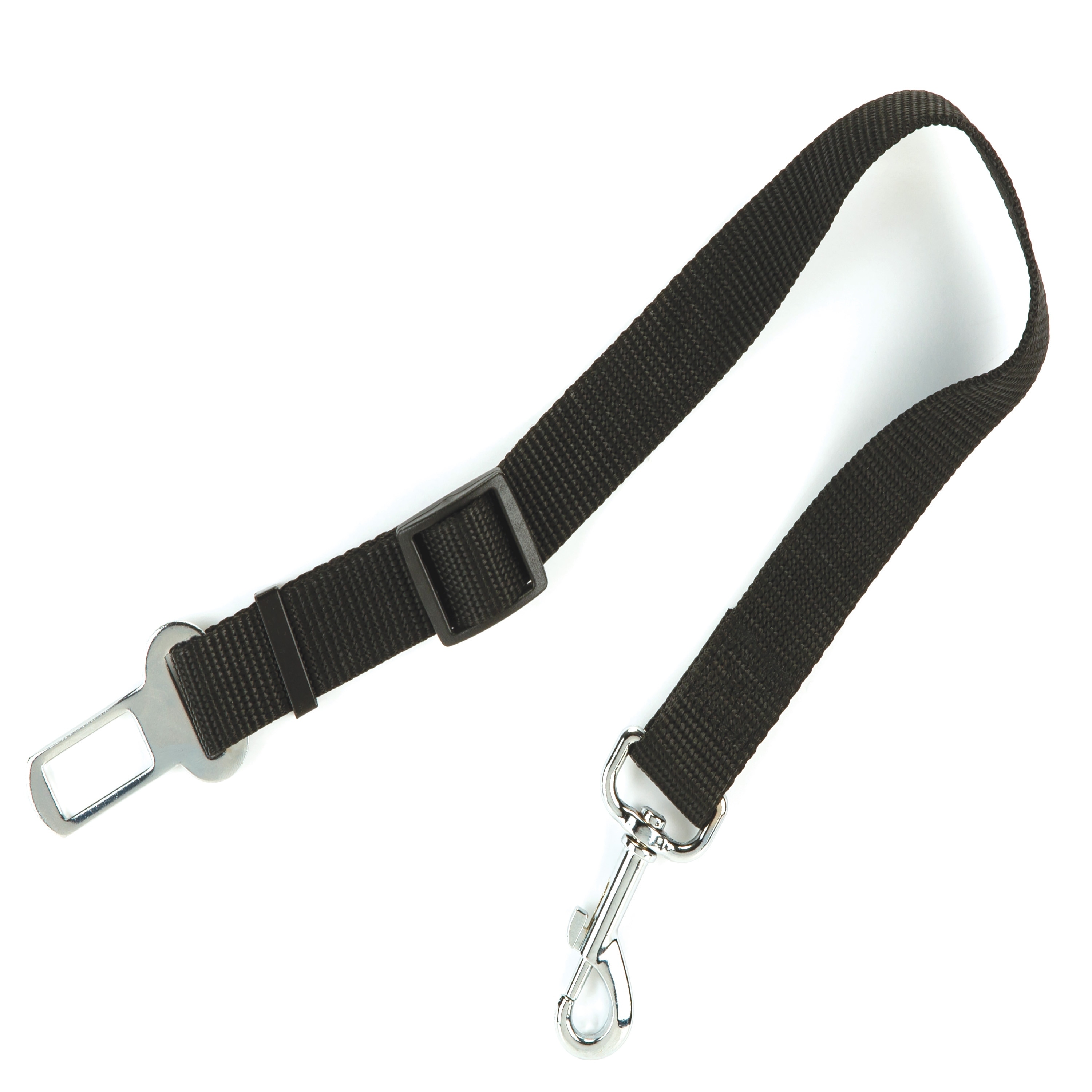 Fetch store the leash